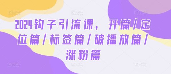 2024钩子引流课，开篇/定位篇/标签篇/破播放篇/涨粉篇-耐玩网创