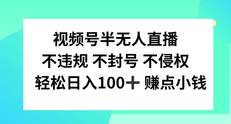 视频号半无人直播，不违规不封号，轻松日入100+【揭秘】-耐玩网创