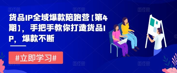 货品IP全域爆款陪跑营【第4期】，手把手教你打造货品IP，爆款不断-耐玩网创