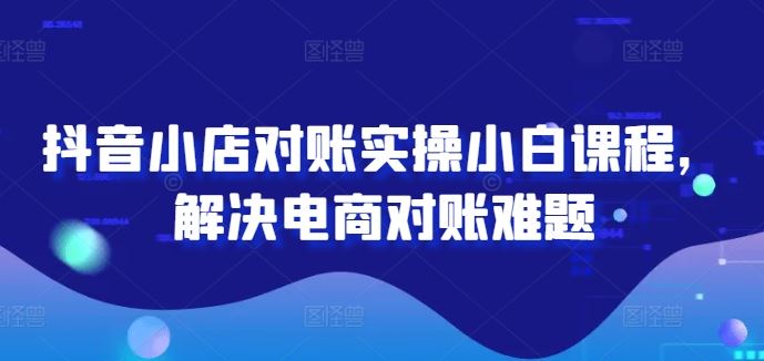 抖音小店对账实操小白课程，解决电商对账难题-耐玩网创