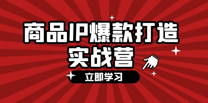 （12136期）商品-IP爆款打造实战营【第四期】，手把手教你打造商品IP，爆款 不断-耐玩网创
