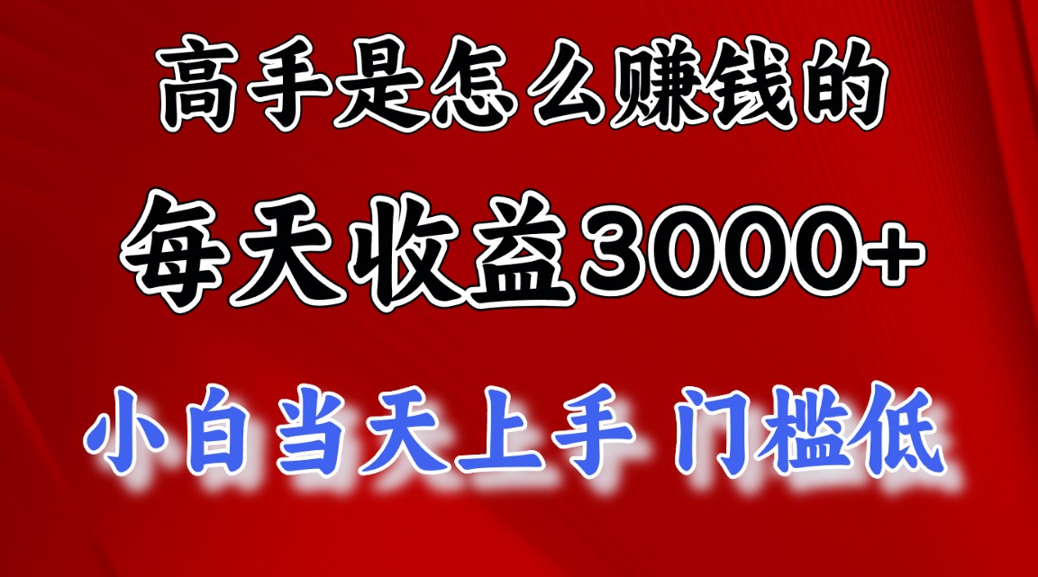 （12144期）1天收益3000+，月收益10万以上，24年8月份爆火项目-耐玩网创