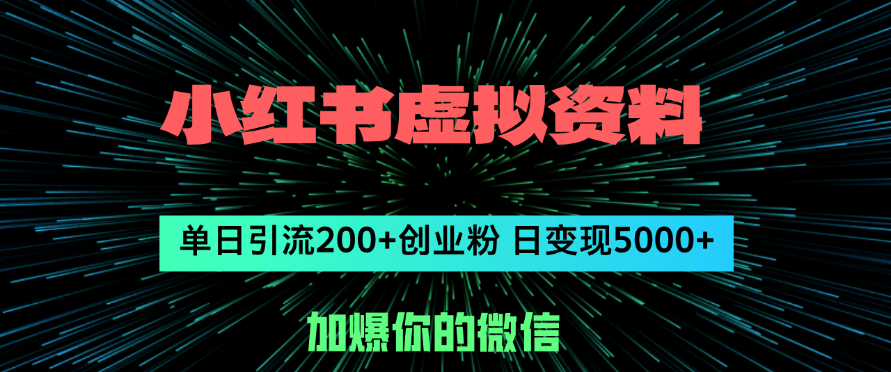 （12164期）小红书虚拟资料日引流200+创业粉，单日变现5000+-耐玩网创