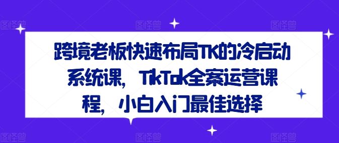 跨境老板快速布局TK的冷启动系统课，TikTok全案运营课程，小白入门最佳选择-耐玩网创