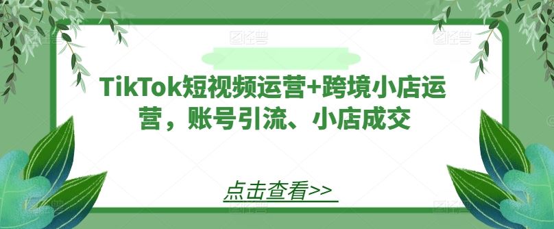 TikTok短视频运营+跨境小店运营，账号引流、小店成交-耐玩网创