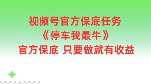 视频号官方保底任务，停车我最牛，官方保底只要做就有收益【揭秘】-耐玩网创