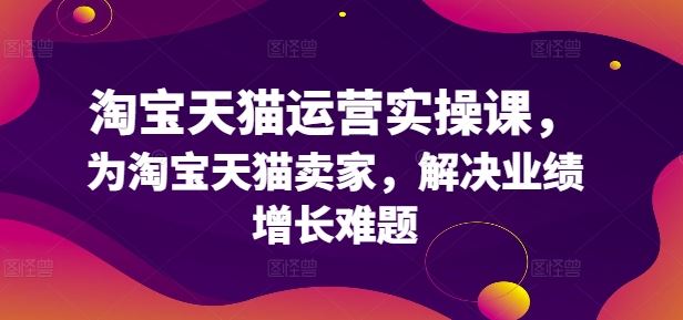 淘宝天猫运营实操课，为淘宝天猫卖家，解决业绩增长难题-耐玩网创