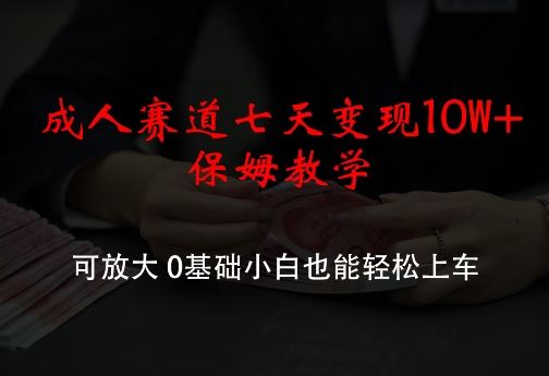成人赛道七天变现10W+保姆教学，可放大，0基础小白也能轻松上车【揭秘】-耐玩网创