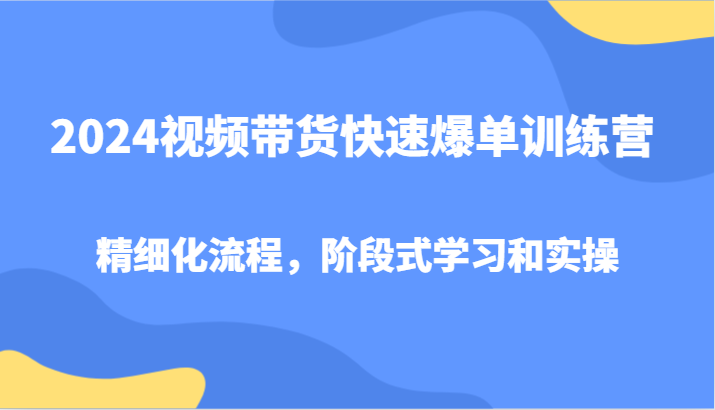 2024视频带货快速爆单训练营，精细化流程，阶段式学习和实操-耐玩网创