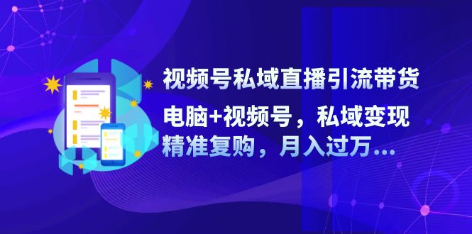 （12249期）视频号私域直播引流带货：电脑+视频号，私域变现，精准复购，月入过万…-耐玩网创