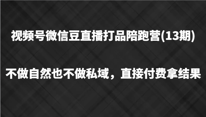 视频号微信豆直播打品陪跑(13期)，不做不自然流不做私域，直接付费拿结果-耐玩网创