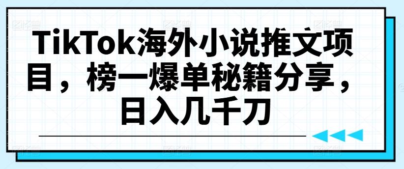 TikTok海外小说推文项目，榜一爆单秘籍分享，日入几千刀-耐玩网创