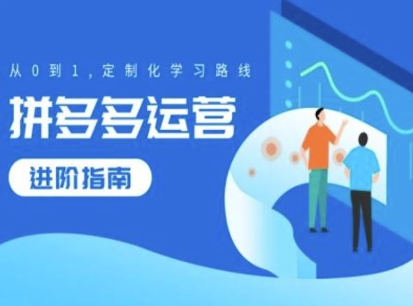 拼多多运营进阶指南，从0到1定制化学习路线-耐玩网创