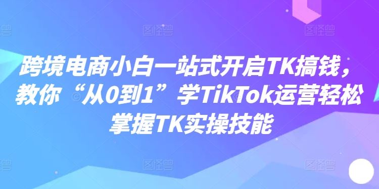 跨境电商小白一站式开启TK搞钱，教你“从0到1”学TikTok运营轻松掌握TK实操技能-耐玩网创