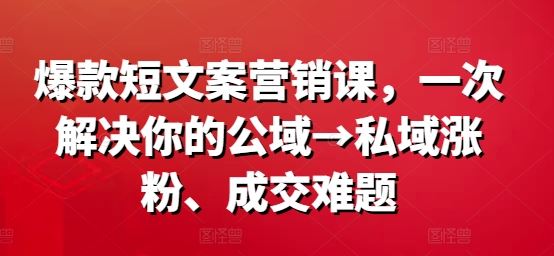 爆款短文案营销课，一次解决你的公域→私域涨粉、成交难题-耐玩网创