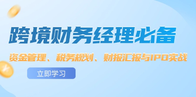 （12323期）跨境 财务经理必备：资金管理、税务规划、财报汇报与IPO实战-耐玩网创