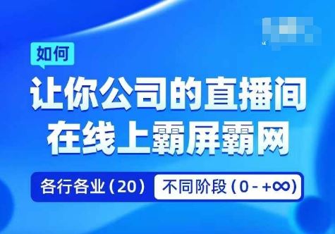 企业矩阵直播霸屏实操课，让你公司的直播间在线上霸屏霸网-耐玩网创