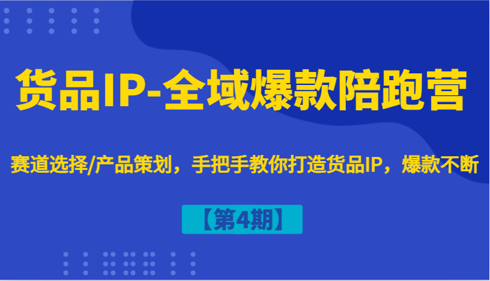 货品IP-全域爆款陪跑营【第4期】赛道选择/产品策划，手把手教你打造货品IP，爆款不断-耐玩网创