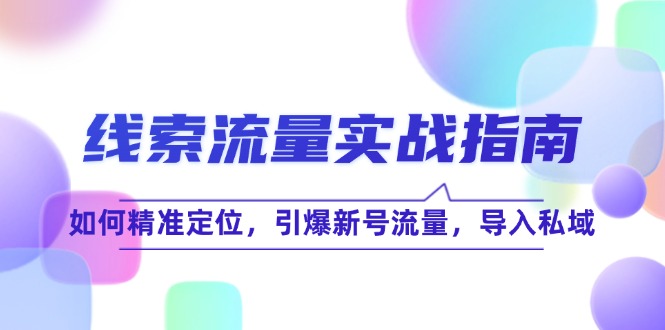 （12382期）线 索 流 量-实战指南：如何精准定位，引爆新号流量，导入私域-耐玩网创