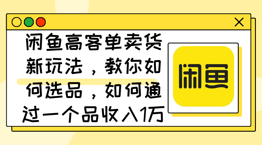 （12387期）闲鱼高客单卖货新玩法，教你如何选品，如何通过一个品收入1万+-耐玩网创