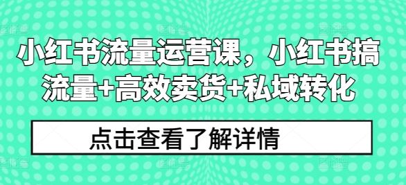 小红书流量运营课，小红书搞流量+高效卖货+私域转化-耐玩网创
