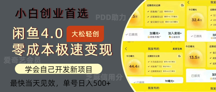（12434期）闲鱼0成本极速变现项目，多种变现方式 单号日入500+最新玩法-耐玩网创