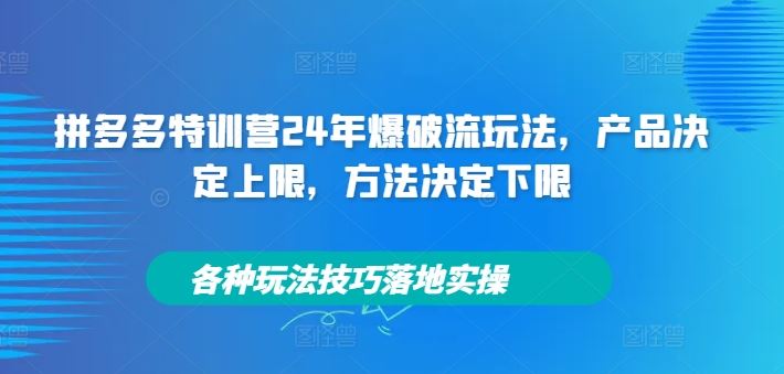 拼多多特训营24年爆破流玩法，产品决定上限，方法决定下限，各种玩法技巧落地实操-耐玩网创