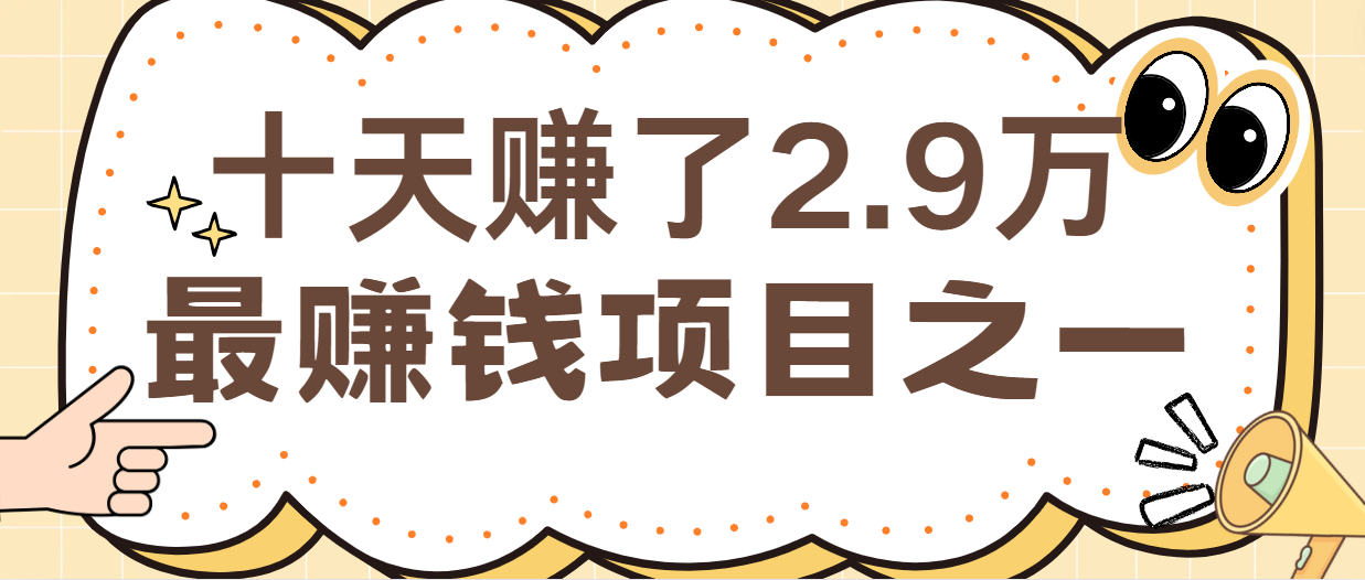 闲鱼小红书最赚钱项目之一，纯手机操作简单，小白必学轻松月入6万+-耐玩网创