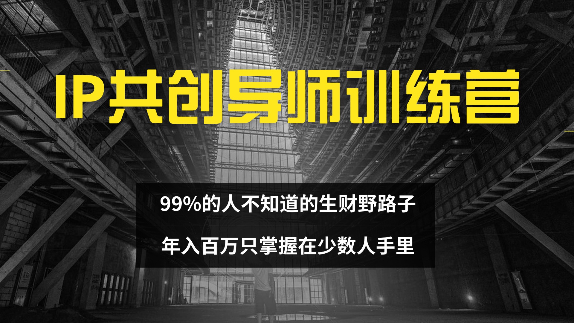 （12504期）IP共创导师训练营 99%的人不知道的生财野路子 只掌握在少数人手里-耐玩网创