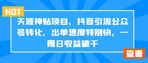 天涯神贴项目，抖音引流公众号转化，出单速度特别快，一周日收益破千-耐玩网创
