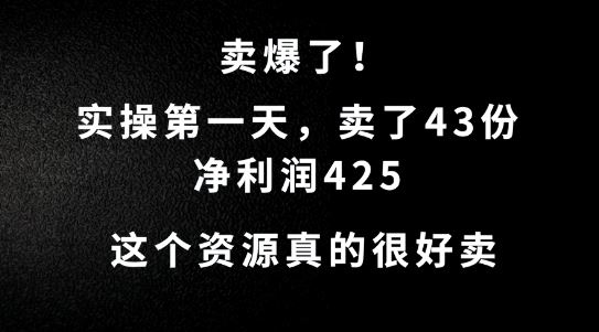 这个资源，需求很大，实操第一天卖了43份，净利润425【揭秘】-耐玩网创