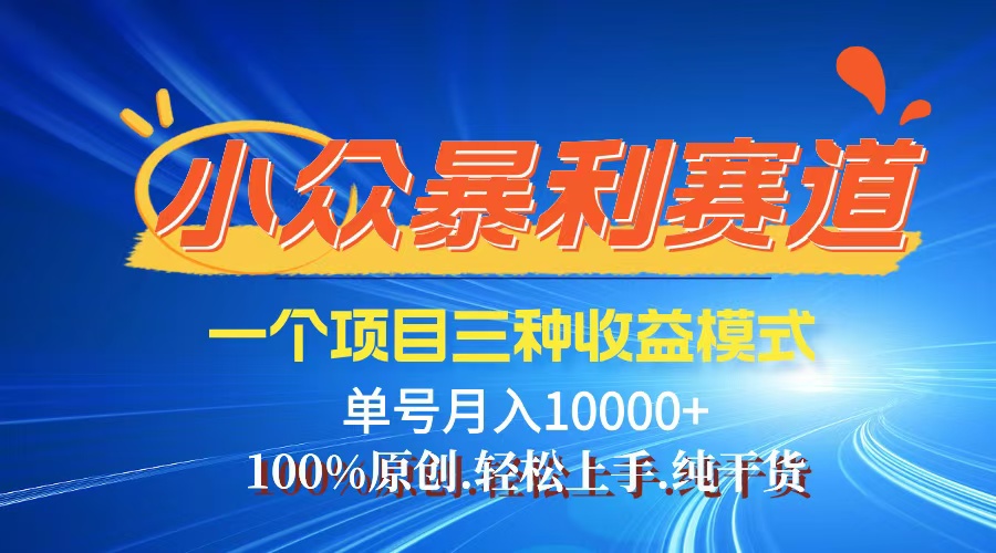 （12579期）【老人言】-视频号爆火赛道，三种变现方式，0粉新号调调爆款-耐玩网创