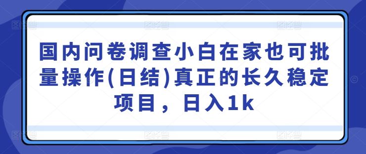 国内问卷调查小白在家也可批量操作(日结)真正的长久稳定项目，日入1k【揭秘】-耐玩网创