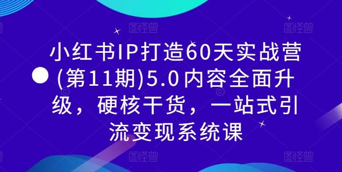 小红书IP打造60天实战营(第11期)5.0​内容全面升级，硬核干货，一站式引流变现系统课-耐玩网创