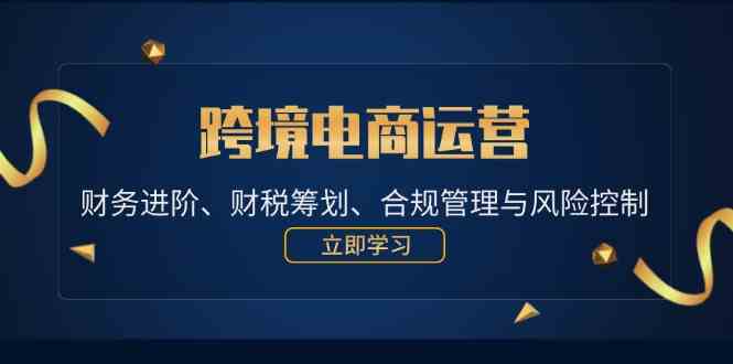 跨境电商运营：财务进阶、财税筹划、合规管理与风险控制-耐玩网创