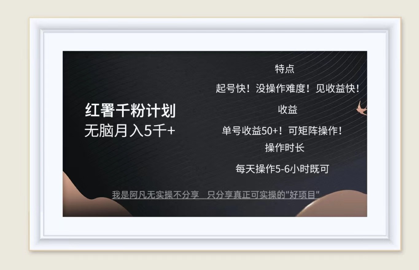 红薯千粉计划无脑月入5千+！既做既赚！-耐玩网创