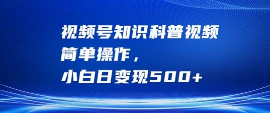 视频号知识科普视频，简单操作，小白日变现500+【揭秘】-耐玩网创