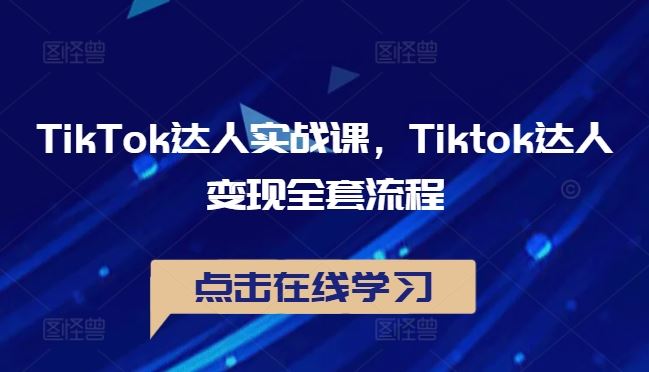 TikTok达人实战课，Tiktok达人变现全套流程-耐玩网创