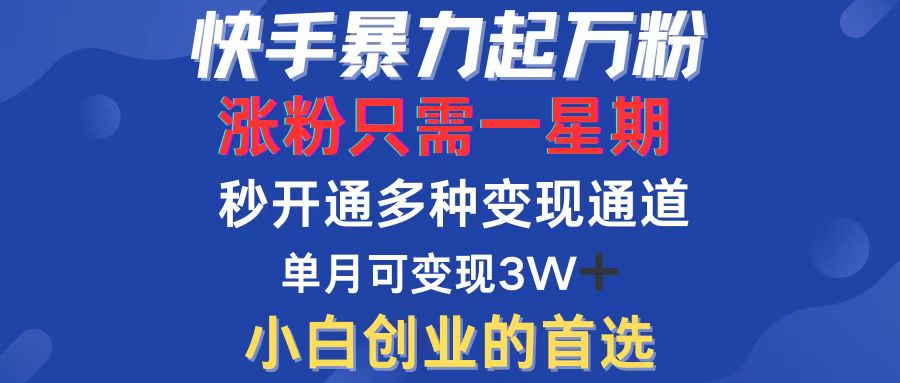 （12651期）快手暴力起万粉，涨粉只需一星期，多种变现模式，直接秒开万合，小白创…-耐玩网创