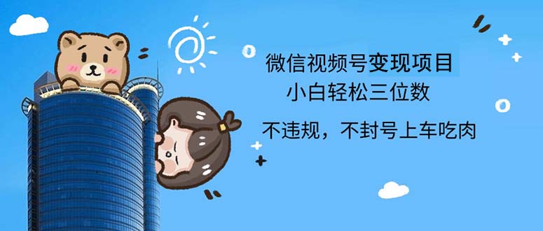 （12660期）2024最新微信视频号，0撸项目，自己玩，小白轻松日入三位数-耐玩网创