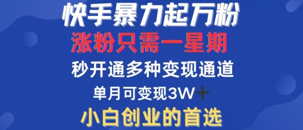 快手暴力起万粉，涨粉只需一星期，多种变现模式，直接秒开万合，单月变现过W【揭秘】-耐玩网创
