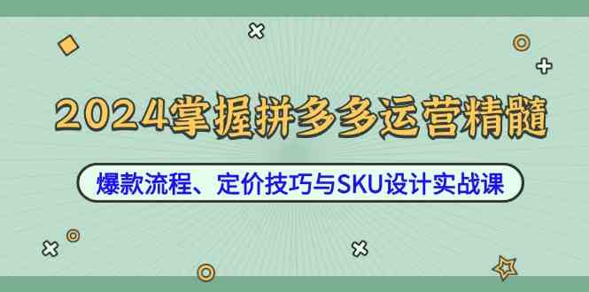 2024掌握拼多多运营精髓：爆款流程、定价技巧与SKU设计实战课-耐玩网创