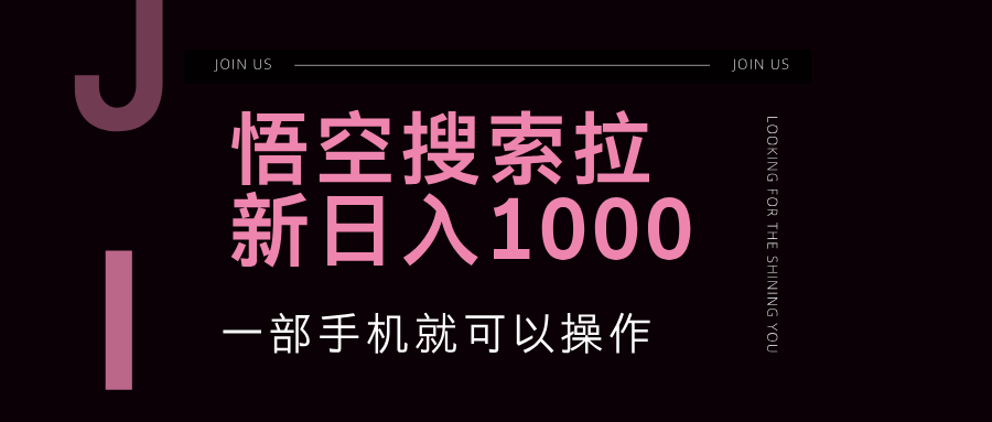 （12717期）悟空搜索类拉新 蓝海项目 一部手机就可以操作 教程非常详细-耐玩网创