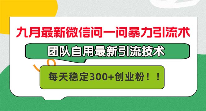 （12735期）九月最新微信问一问暴力引流术，团队自用引流术，每天稳定300+创…-耐玩网创