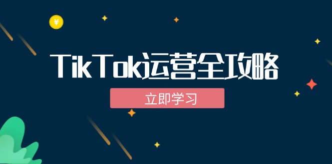 （12739期）TikTok实战运营全攻略：从下载软件到变现，抖音海外版实操教程-耐玩网创
