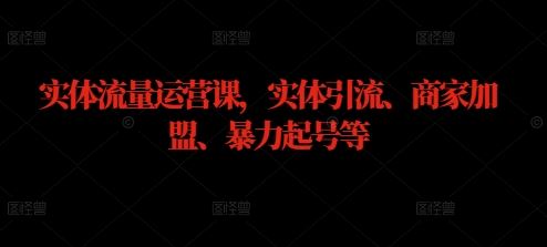 实体流量运营课，实体引流、商家加盟、暴力起号等-耐玩网创