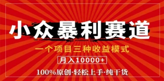 （12756期）视频号最新爆火赛道，三种可收益模式，0粉新号条条原创条条热门 日入1000+-耐玩网创