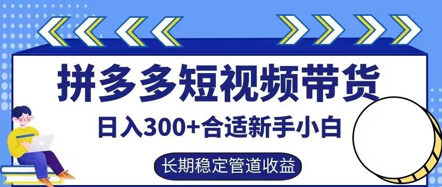 拼多多短视频带货日入300+有长期稳定被动收益，合适新手小白【揭秘】-耐玩网创