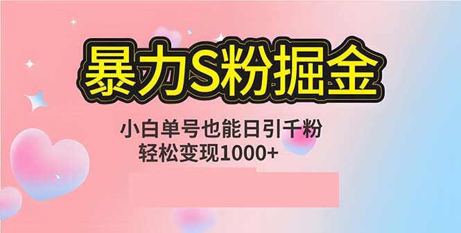 （12778期）单人单机日引千粉，变现1000+，S粉流量掘金计划攻略-耐玩网创