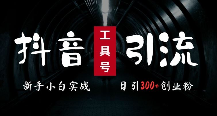 2024最新抖音工具号引流玩法，高效日引300+创业粉，当天变现5k，小白也可成为实战高手-耐玩网创